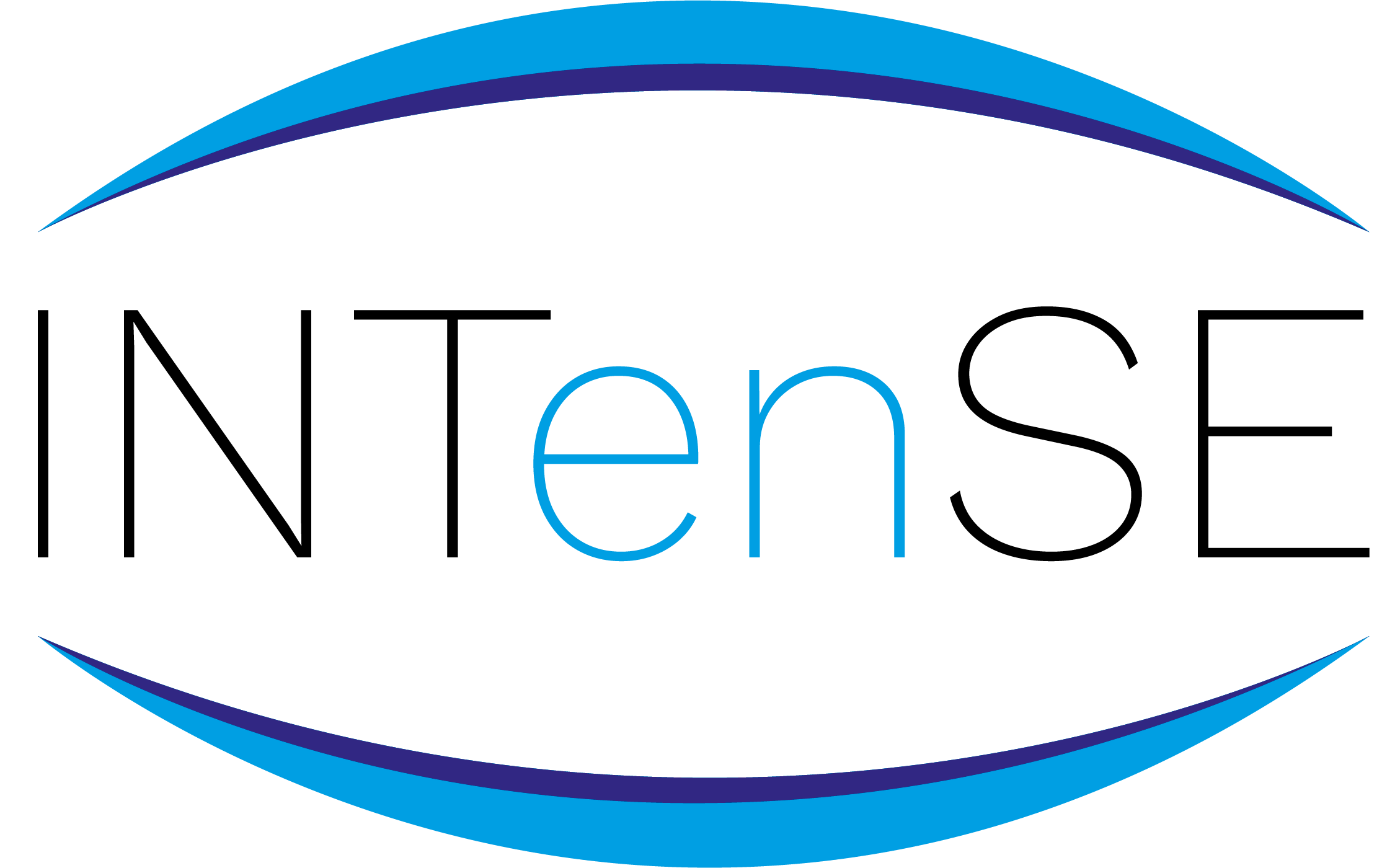 Logo progetto INTenSE